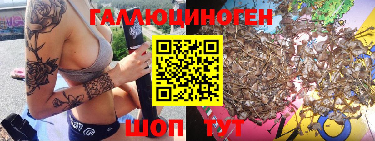 Галлюциногенные грибы GOLDEN TEACHER Шуя