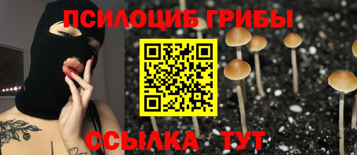Шуя  Псилоцибиновые грибы Magic Shrooms  Вход с VPN 